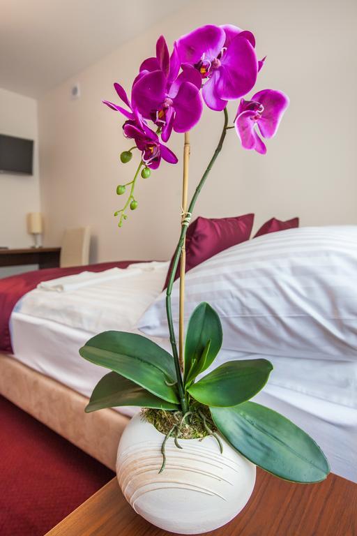 Hostel Zambrow Oda fotoğraf